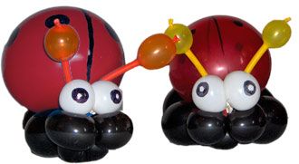 Ballonkünstler knotet Käfer